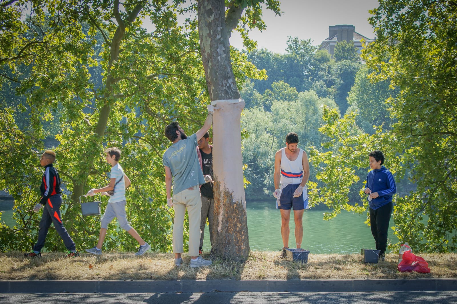 FACT ile saint denis arbre chaulage ®Hermeline carpentier fabrication maison Simon Cathelain