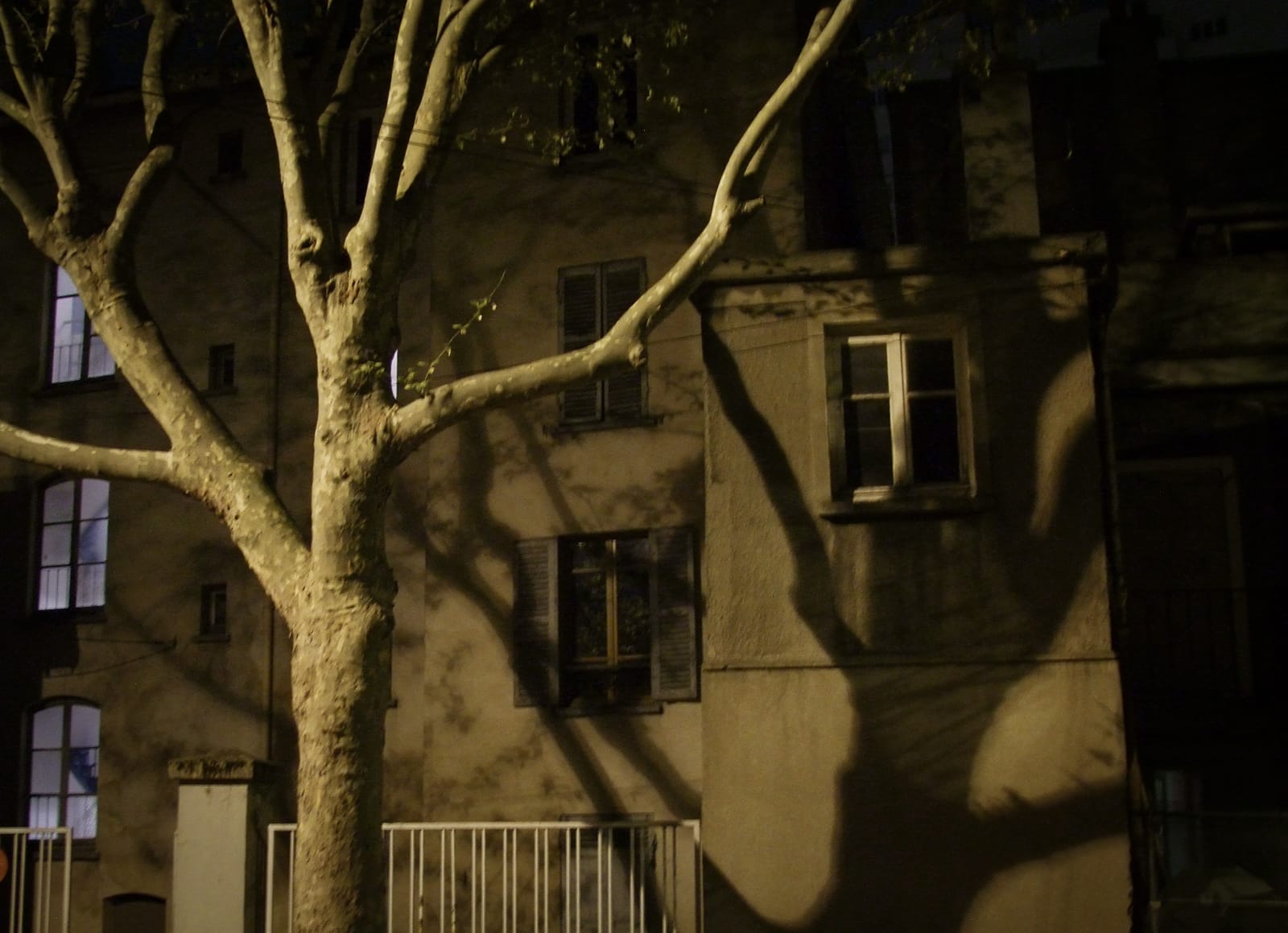 FACT ile saint denis ombre arbe nuit®Hermeline carpentier fabrication maison Simon Cathelain