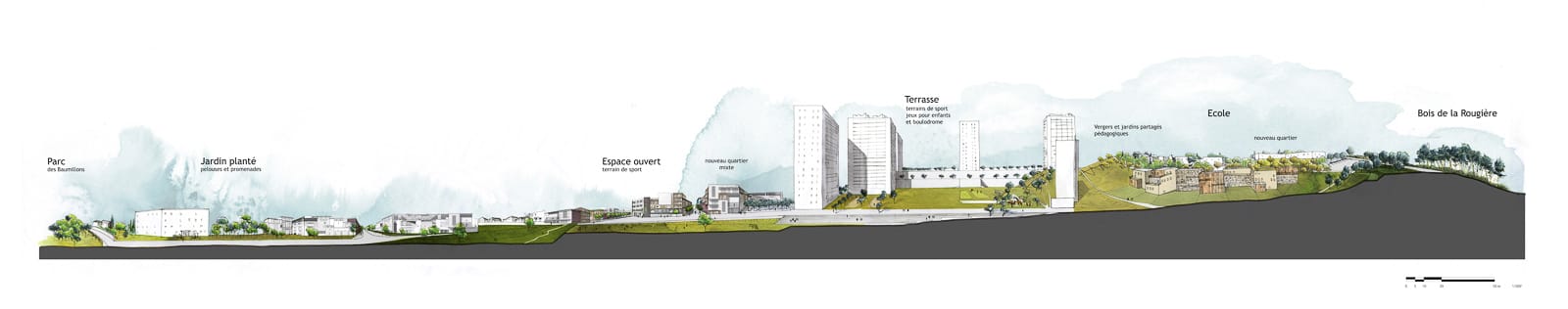 coupe projet rénovation cité Solidarité