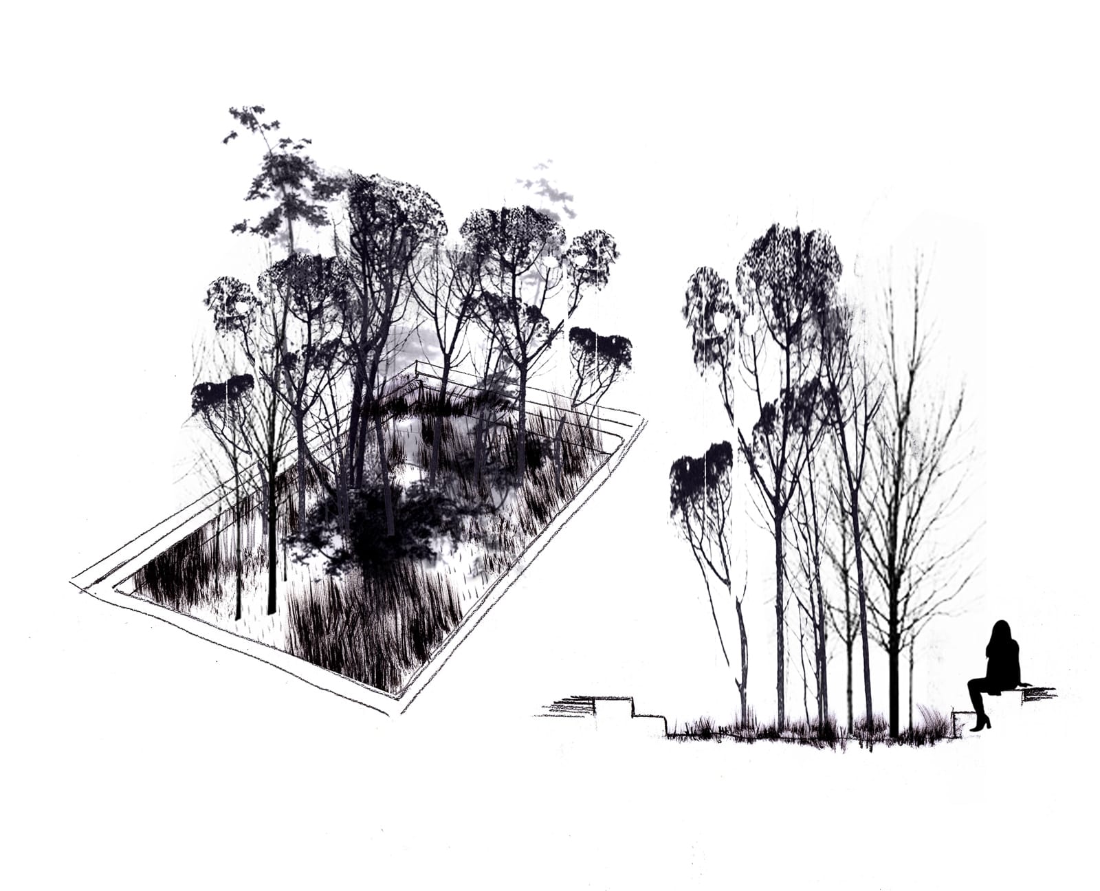 croquis PPLU habiter la foret®HermelineCarpentier