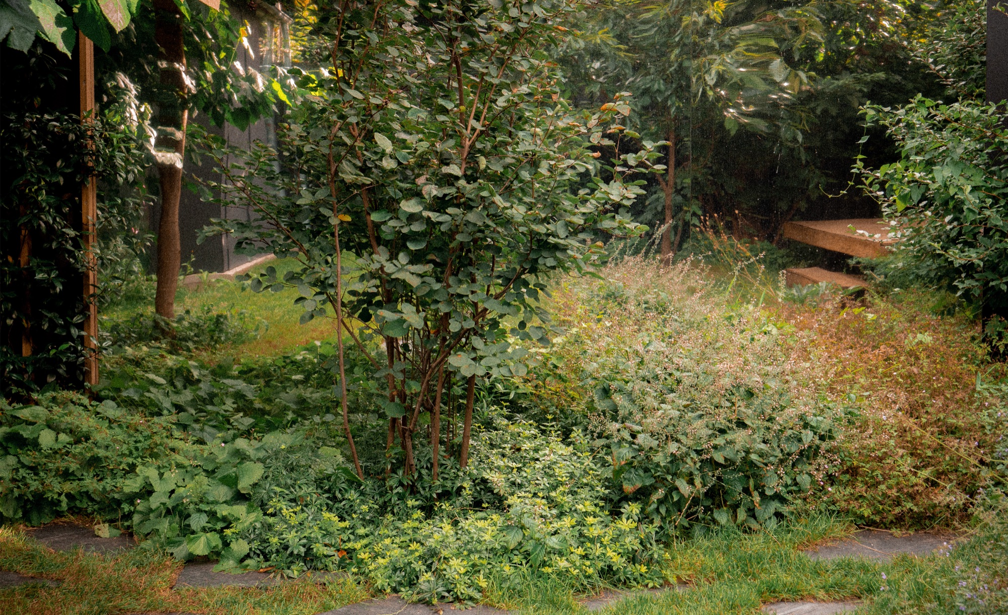 04_Jardin-infini-à-chatillon-Paysagiste-Hermeline-Carpentier-©photo-Anthony-Marques