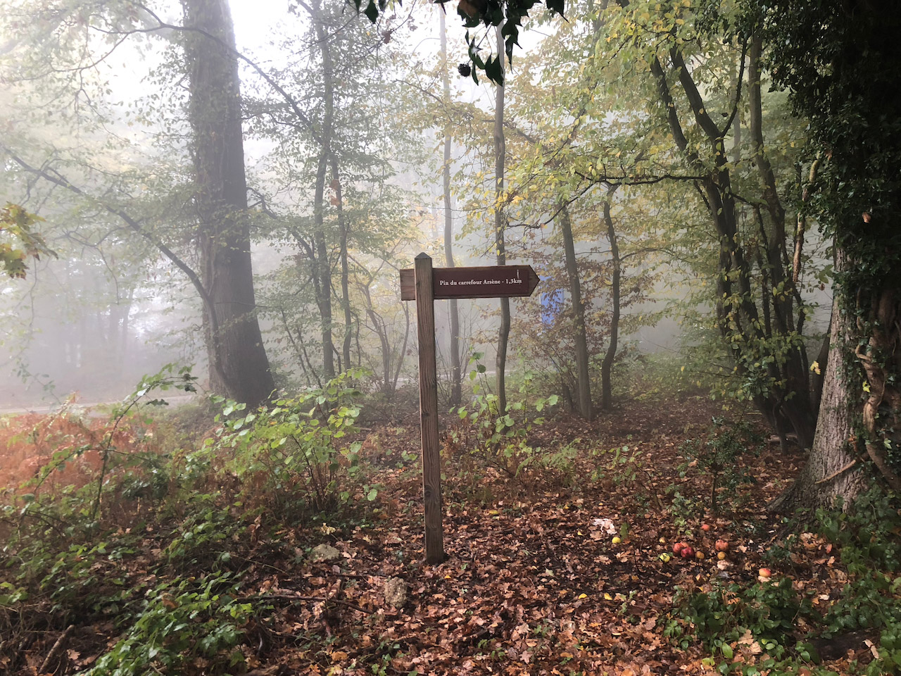 05_étudeentréesforêtsRouen©Hermlelinecarpentier-ateliergalium