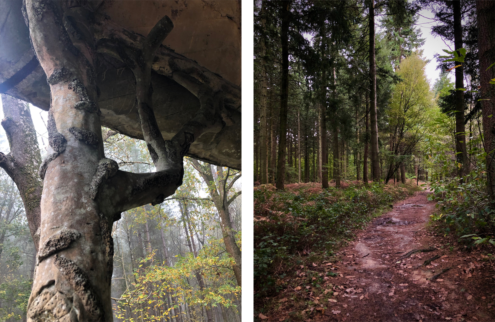 08_étudeentréesforêtsRouen©Hermlelinecarpentier-ateliergalium
