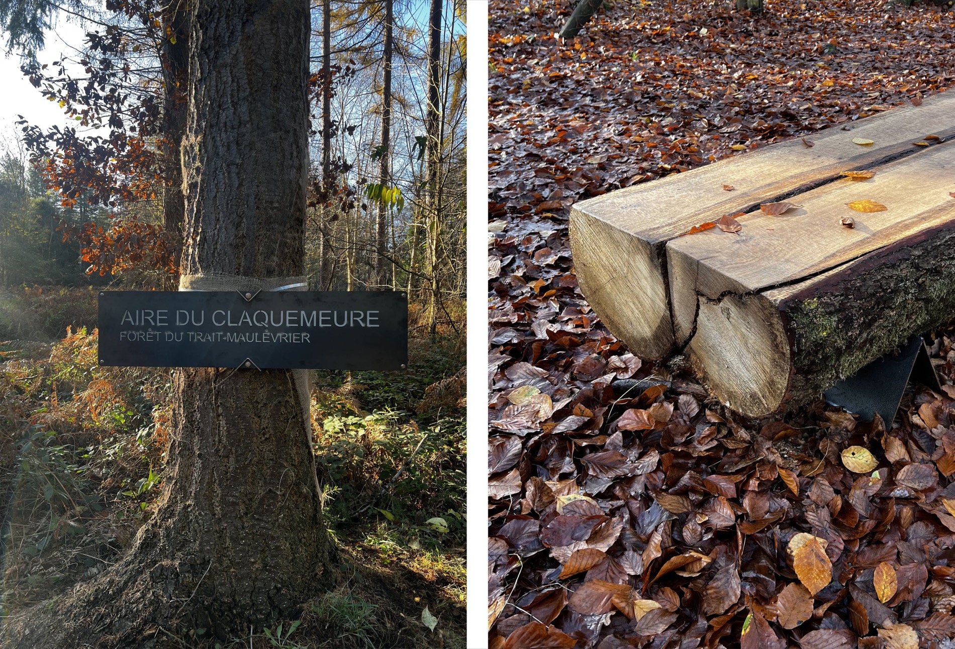Étude stratégique des entrées de forêt rouennaises — Hermeline Carpentier / atelier Galium