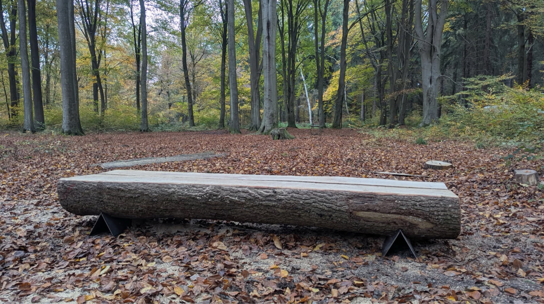 Étude stratégique des entrées de forêt rouennaises — Hermeline Carpentier / atelier Galium