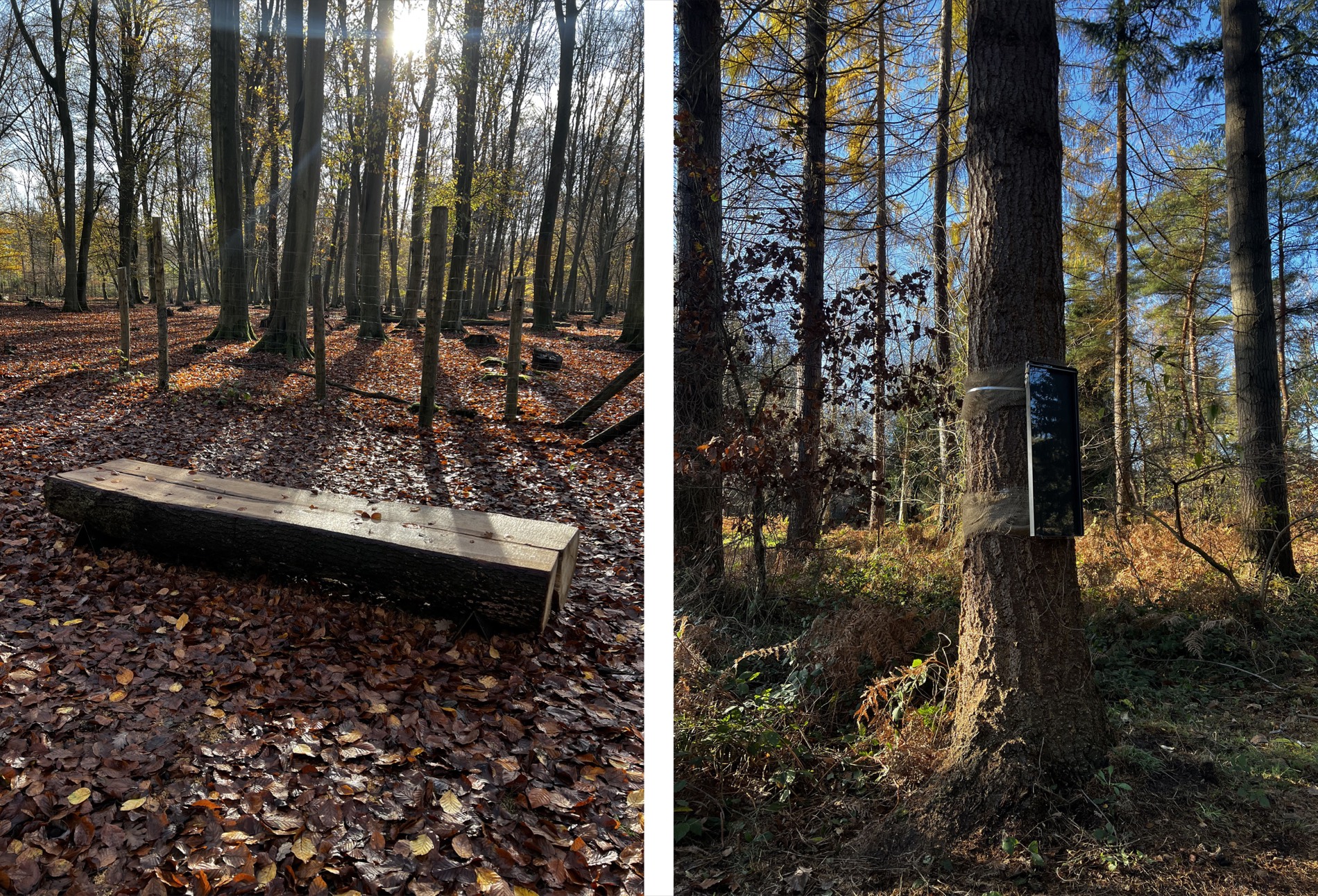 Étude stratégique des entrées de forêt rouennaises — Hermeline Carpentier / atelier Galium