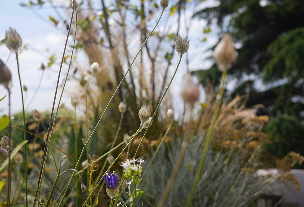 Terrasse méditerranéenne à Meudon ®Hermeline Carpentier